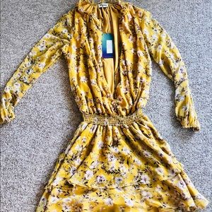 Show Me Your Mumu Long Sleeve Dress